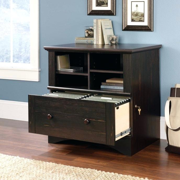 file cabinet walmart medium size of cabinets s 2 drawer cabinet locking stunning decorating 2 drawer file cabinet walmart canada file cabinet walmart medium size of cabinets s 2 drawer cabinet locking stunning decorating 2 drawer file cabinet walmart canada