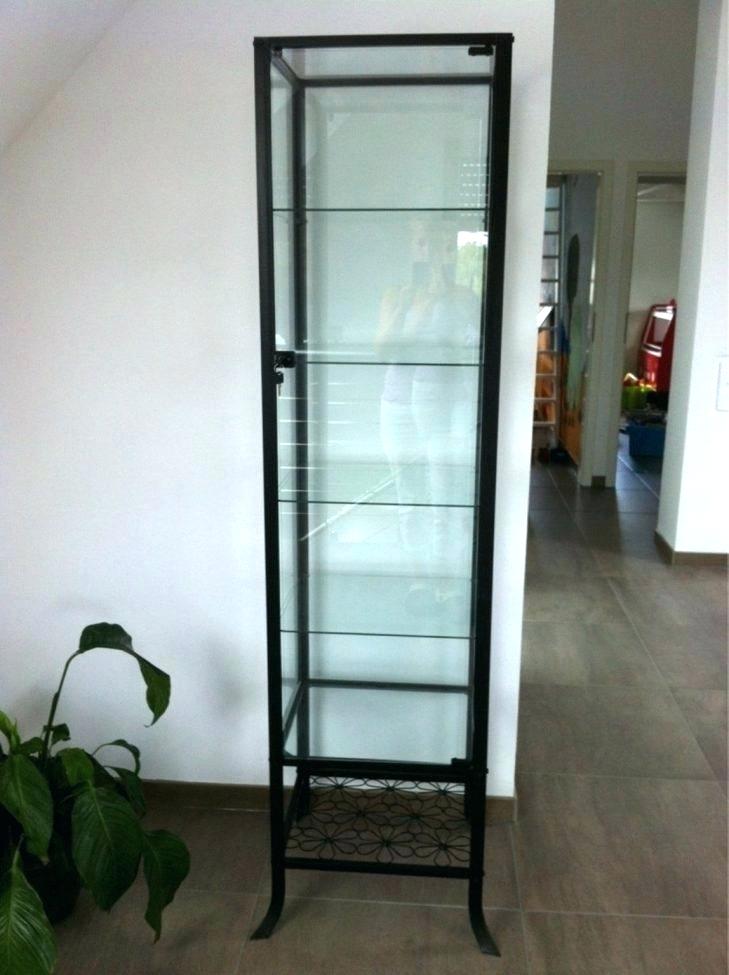 ikea curio cabinet curio cabinet medium size of glass glass display cabinet lockable glass curio cabinet curio curio cabinet ikea curio cabinet canada ikea curio cabinet curio cabinet medium size of glass glass display cabinet lockable glass curio cabinet curio curio cabinet ikea curio cabinet canada