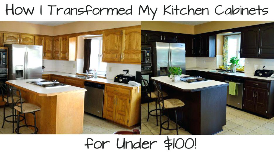 lowes rustoleum cabinet transformations cabinet paint coconut espresso cabinet paint colors cabinet transformations pure white rustoleum cabinet transformations at lowes lowes rustoleum cabinet transformations cabinet paint coconut espresso cabinet paint colors cabinet transformations pure white rustoleum cabinet transformations at lowes
